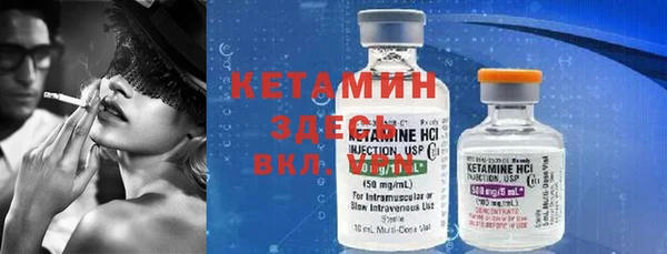 индика Горнозаводск
