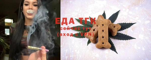 индика Горнозаводск