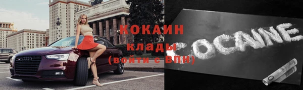 индика Горнозаводск