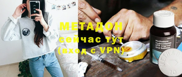 индика Горнозаводск