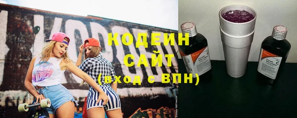дживик Горняк